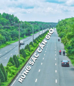 Mua biệt thự cao cấp tại Vịnh Ngọc, Vinhomes Cần Giờ - Ảnh 6